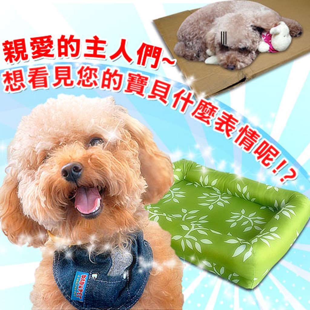 【樂樂生活精品】【凱蕾絲帝】台灣製造自然元氣寵物記憶床墊-大80*50cm 免運費! (請看關於我)