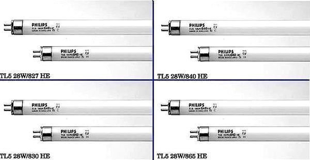 《謝謝商行》自取  PHILIPS 飛利浦 T5 燈管 14W 21W 28W 1箱40支