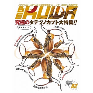 <現貨> 日本 Bekuwa 甲蟲 雜誌 No.82 豎角 兜蟲 獨角仙 鍬形蟲 全新