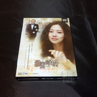 全新韓劇《甜蜜的負荷》(沒關係爸爸的女兒) DVD文彩元(公主的女人) 崔振赫 姜成 全泰秀
