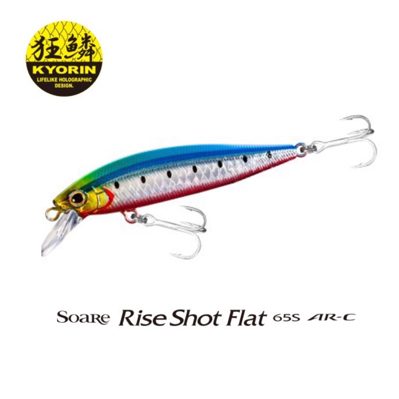 SHIMANO SOARE RISE SHOT FLAT 65S 超遠投式樣 根釣專用 【大鯨魚釣具研究社】