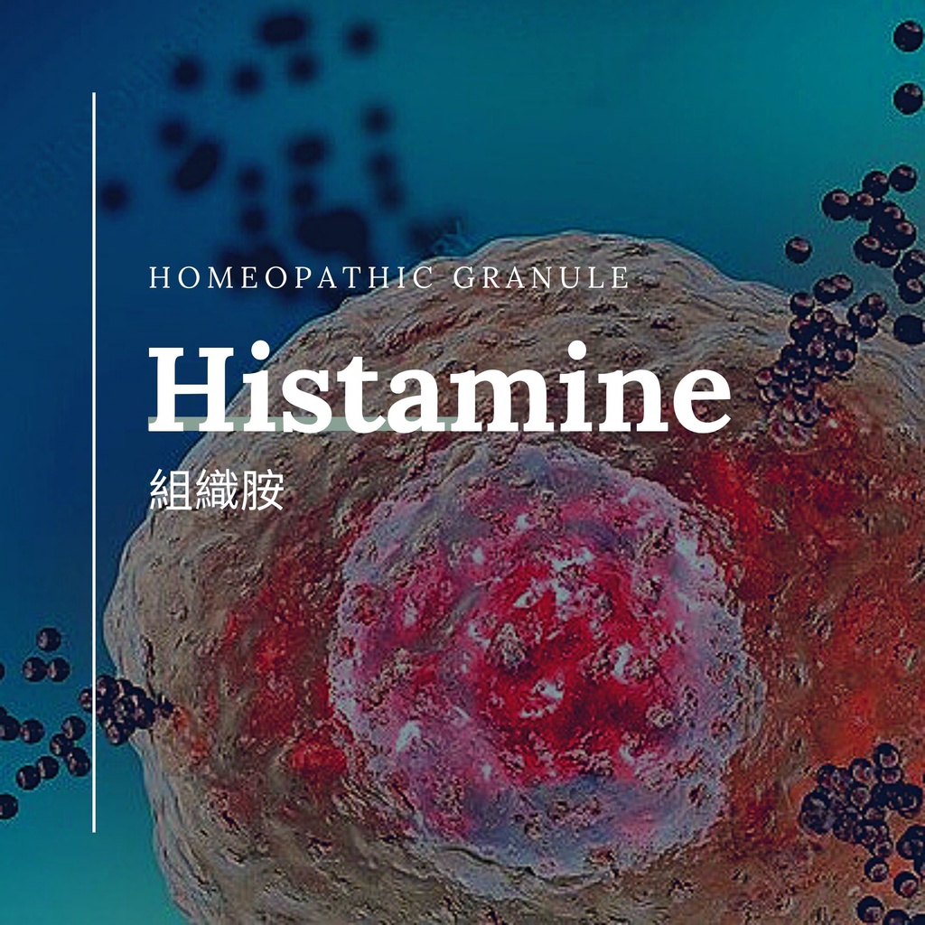 順勢糖球【組織胺●Histamine／Histaminum】➖過度敏感／➕協助意識到世界是和平友善的Homeopathy