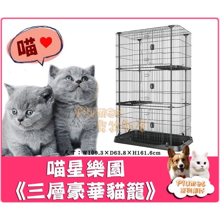 人氣推薦商品與線上折扣優惠 Plumes寵物部屋 蝦皮台灣