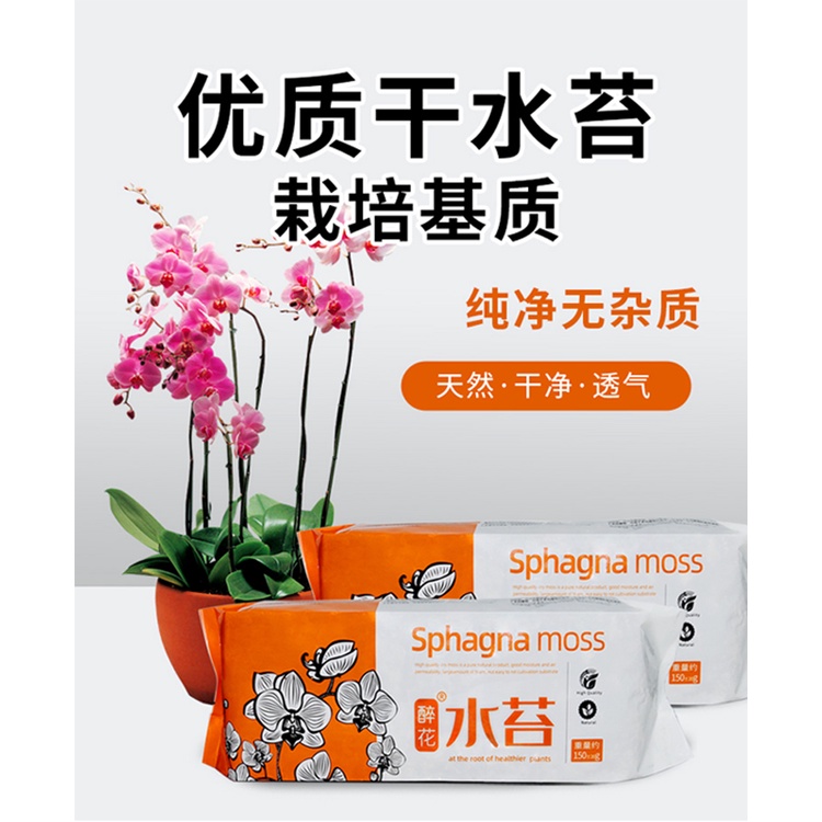 特優水苔一包（150g）A級乾水苔蝴蝶蘭鮮活干苔蘚蘭花石斛食蟲植物專用土 蘭花專用水苔土 爬寵墊材蘭花無土栽培介質蝴蝶蘭