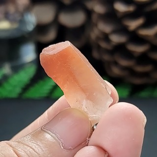 紅兔毛水晶 Amphibole in Quartz 紅髮晶原礦吊墜 XXI