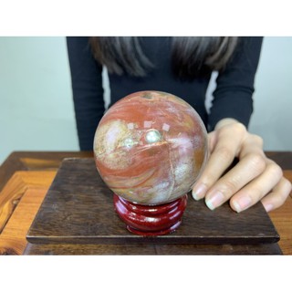 樹化玉球的價格推薦 21年8月 比價撿便宜