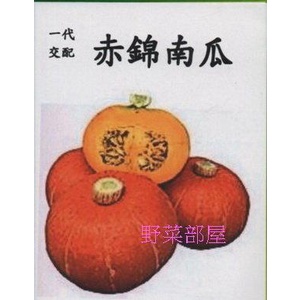 【野菜部屋~】K41 日本赤錦南瓜種子2粒 , 栗子南瓜 , 重約1.5公斤 , 每包16元 ~