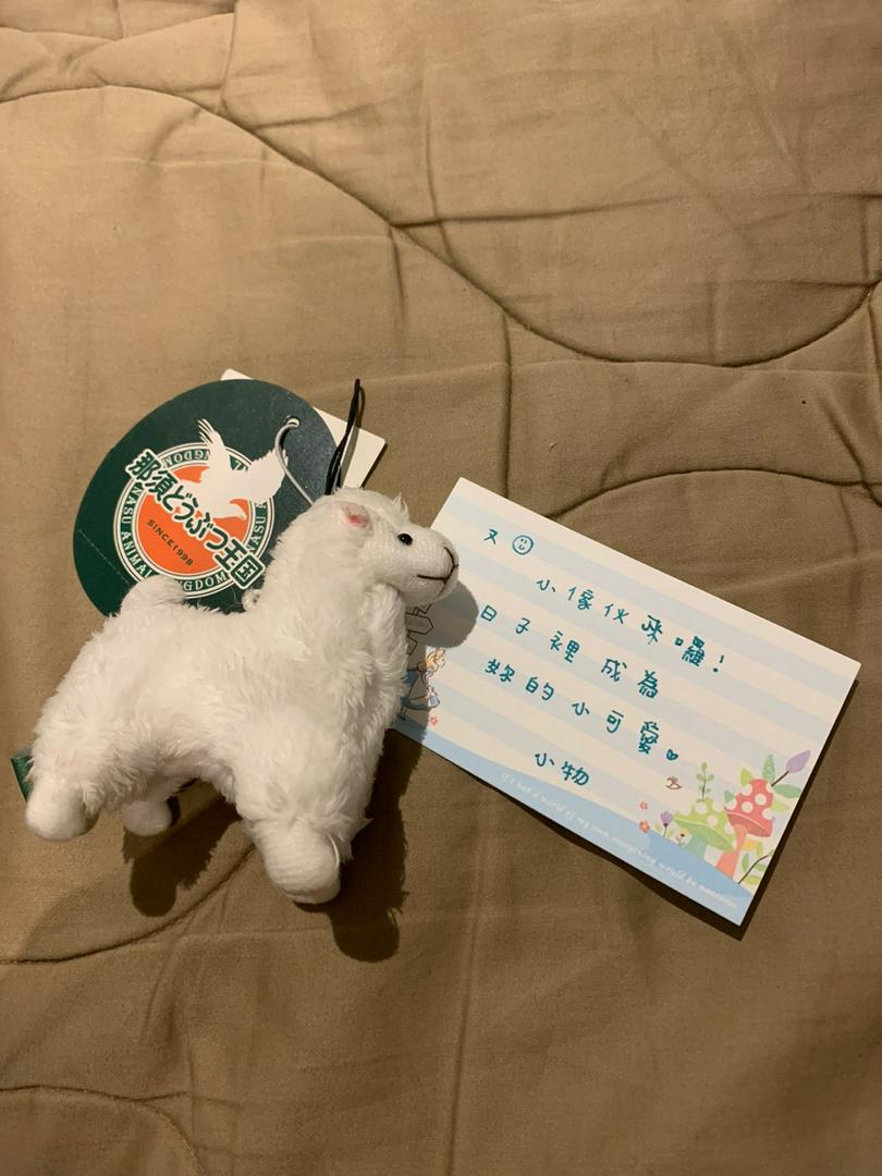日本那須動物王國可愛小草泥馬吊飾 蝦皮購物