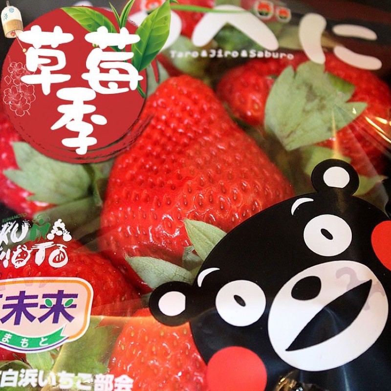 日本佐賀草莓超低價免運草莓菊池糖蜜草莓蜜糖草莓福岡草莓未來夢熊本熊草莓 蝦皮購物