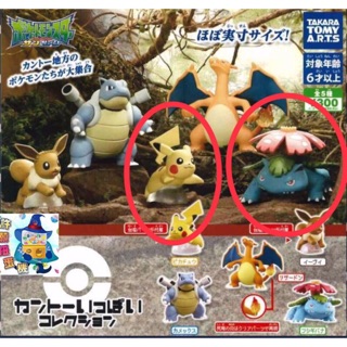 【扭蛋】全新未拆 日本帶回 神奇寶貝 皮卡丘 妙娃花 寶可夢 精靈寶可夢 POKEMON 扭蛋