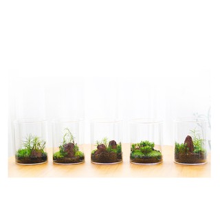 人氣推薦商品與線上折扣優惠 瓶植物語 蝦皮台灣