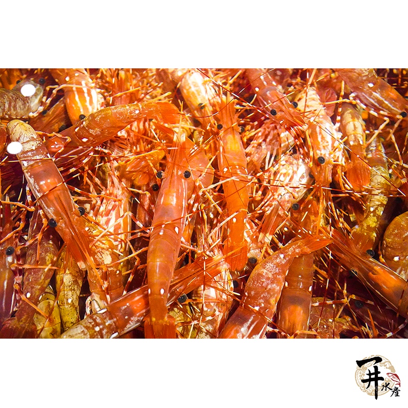 【一井水產】加拿大 俄羅斯 活凍 牡丹蝦 蝦子 蝦 生食