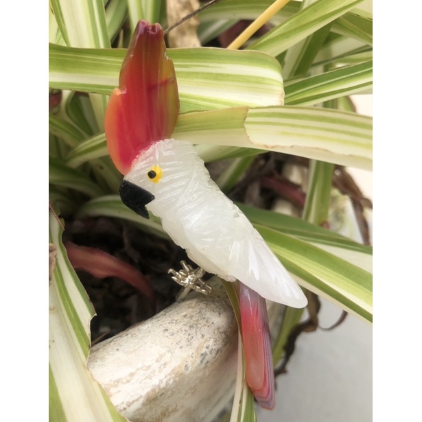 出清～白水晶 瑪瑙 鸚鵡🦜擺件 雕刻 水晶鸚鵡
