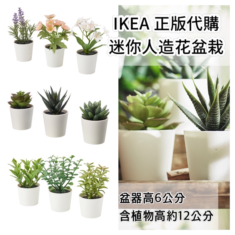 IKEA 人造小盆栽3入 塑膠花 多肉植物 仙人掌 仿真 人造花 開店 櫃檯 擺飾 租屋 佈置