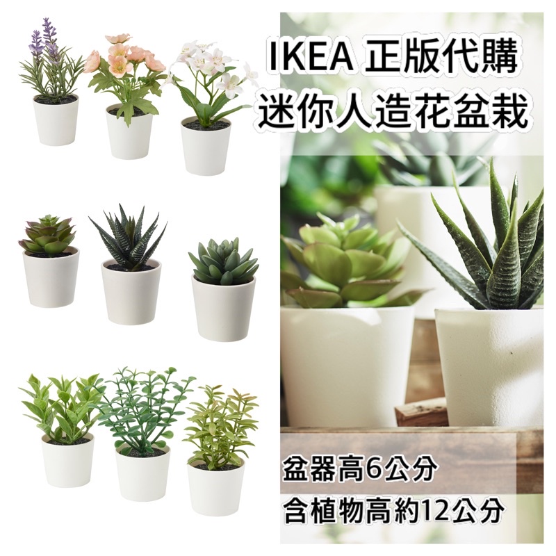 Ikea 人造小盆栽3入塑膠花多肉植物仙人掌仿真人造花開店櫃檯擺飾租屋佈置 蝦皮購物