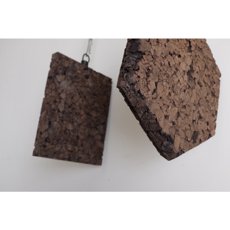 【THE TRIBUS】鹿角蕨 碳化軟木板 香檳樹皮 軟木板  鹿角蕨上板 背板 板材