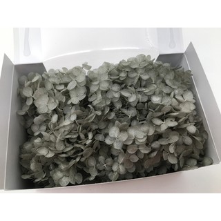 Truly 永生花 不凋花toka 東北花材小葉安娜貝爾 水無月拆盒繡球繡球花紫陽花 蝦皮購物