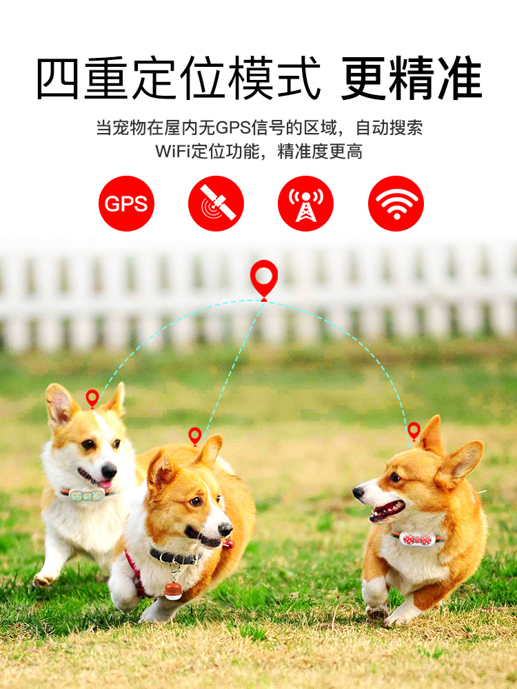 老人兒童防丟失 高精準定位追蹤戶外安全 狗狗定位器gps寵物項圈防丟神器貓咪跟蹤訂位牛羊小型追跟追蹤儀 蝦皮購物