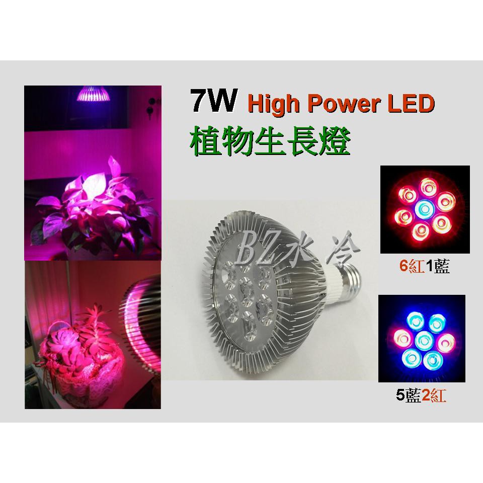 7W 植物生長燈 LED植物燈  開花植物 多肉植物 開花 結果 育苗 水耕 魚菜共生 非15W 12W