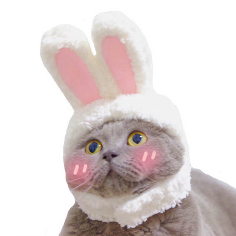 寵物兔子帽 貓咪變兔子 狗變兔子 寵物頭套 兔子頭套 兔耳帽 貓咪兔耳帽 狗兔耳帽 BANG【HP16】