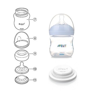 [寬寬熊]Avent SCF334 332 330 儲奶 奶瓶組 母奶袋 母奶儲存 適用 親乳感玻璃奶瓶 PP奶瓶