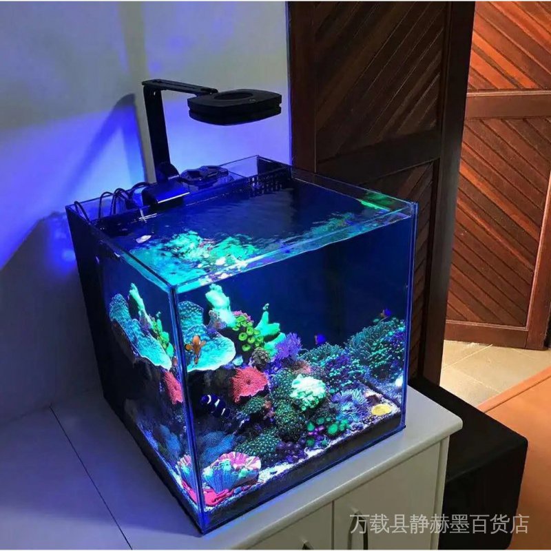 海水套缸的價格推薦第5 頁 21年11月 比價比個夠biggo