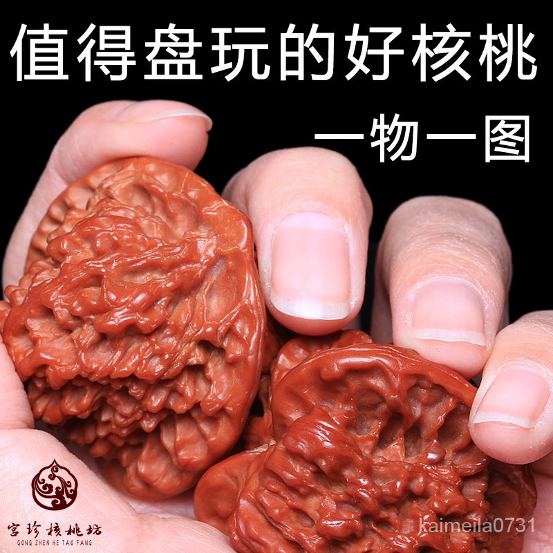 白麒麟- 優惠推薦- 2022年7月| 蝦皮購物台灣