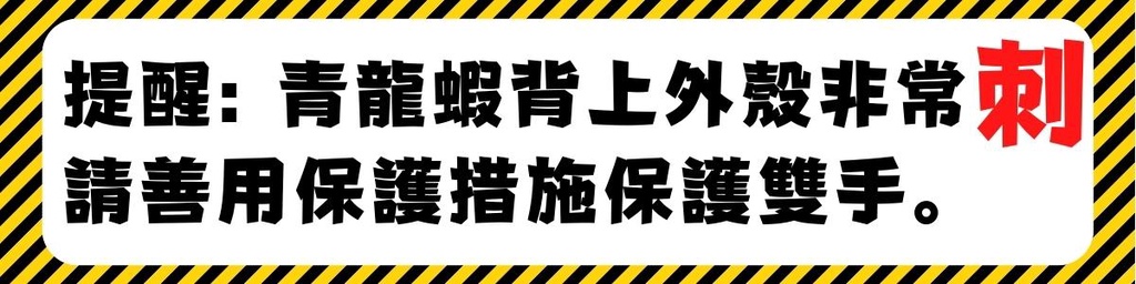 提醒:青龍蝦背上外殼非常刺，請善用保護措施保護雙手。