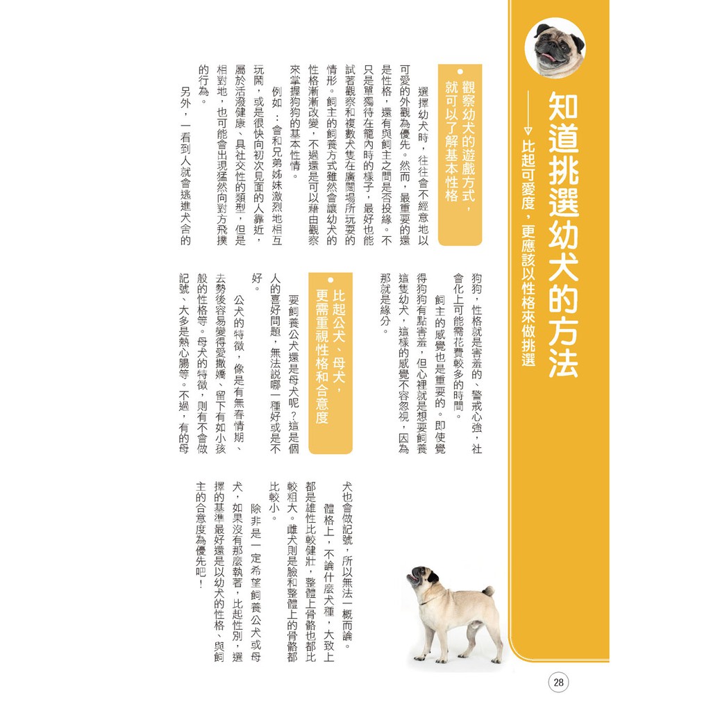 漢欣 巴哥犬的快樂飼養法 蝦皮購物