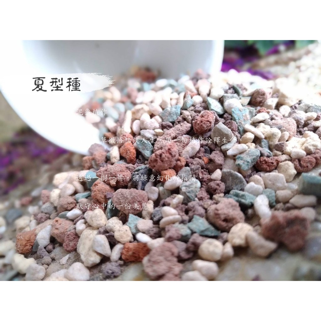泥龜 多肉植物用土 夏型種 1l 3l 多肉專用土多肉土多肉介質辦公室植栽仙人掌植物園藝資材土壤介質 蝦皮購物