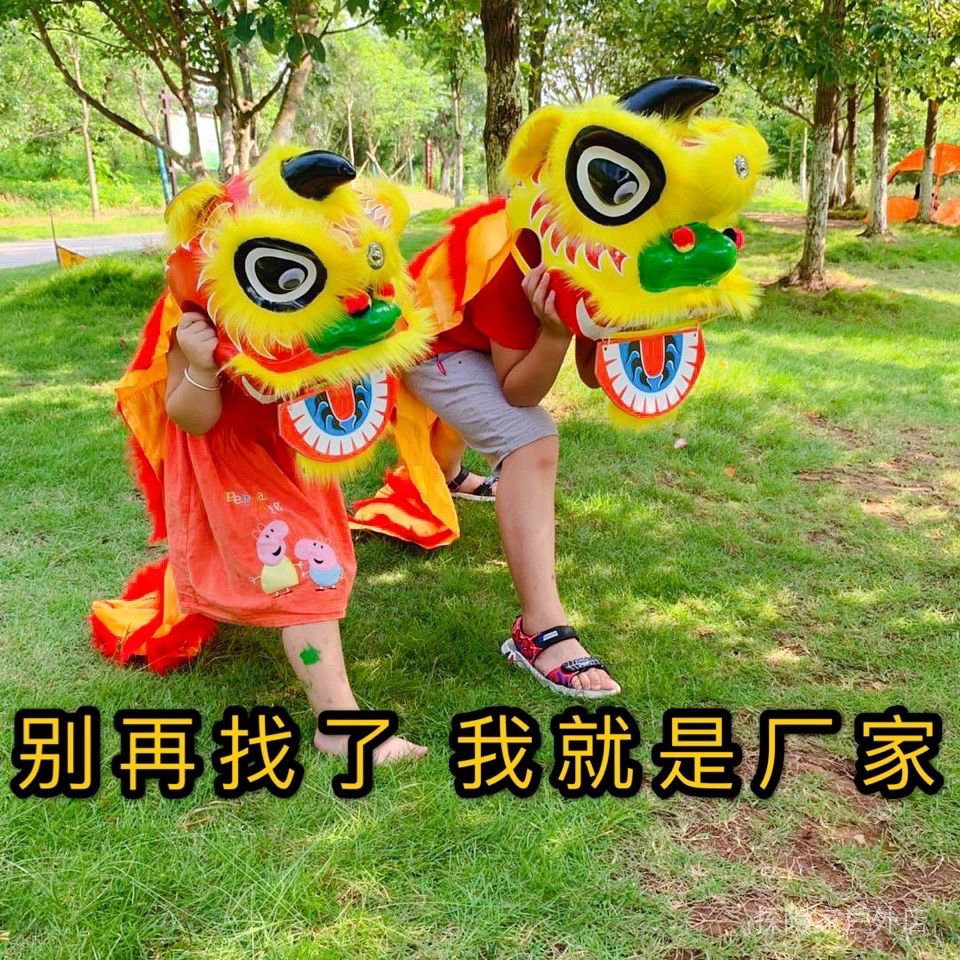 【舞獅舞龍】舞獅兒童舞獅子 玩具舞獅頭 幼兒表演道具南獅舞獅子 頭套裝塑料醒獅