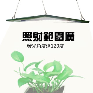 【君沛植物燈】LED植物燈 植物燈板 50瓦 吊掛式 植物燈 雙色溫 植物成長專用燈 植物生長燈