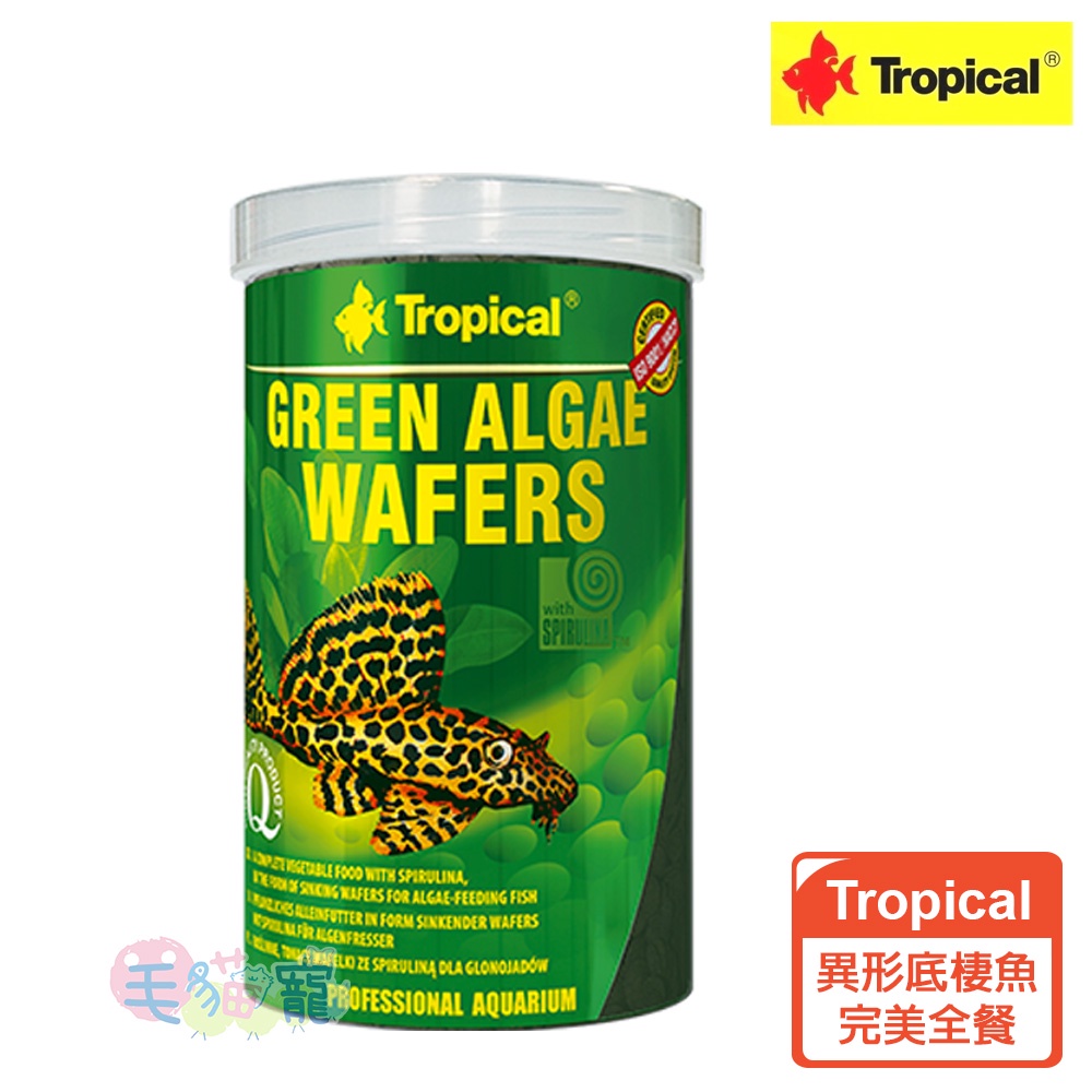 【Tropical】德比克異形底棲魚完美全餐 螺旋藻配方 毛貓寵