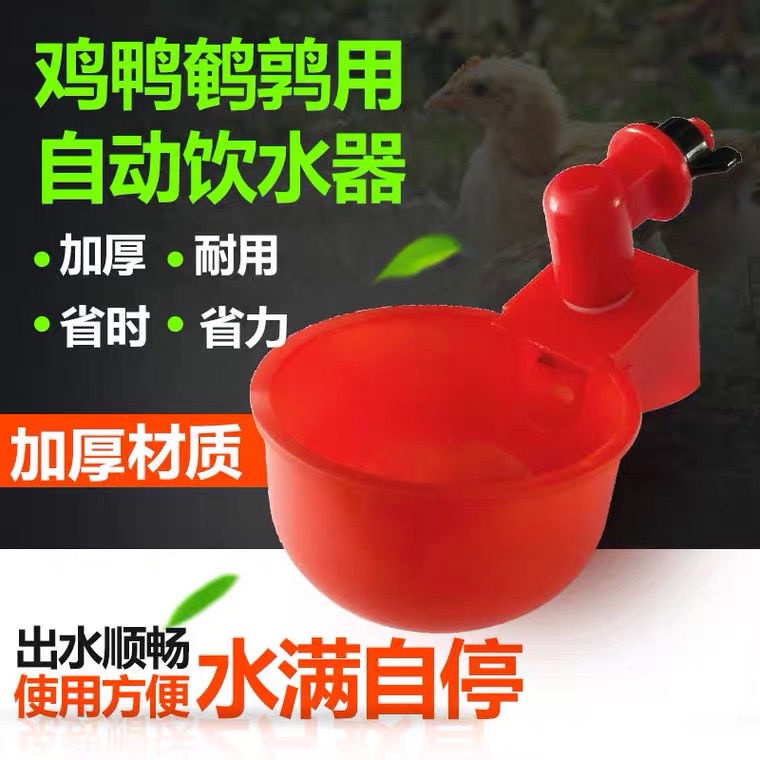 雞用自動飲水器雞鴨鴿子飲水碗喝水碗雛雞鳥用飲水器雞鵪鶉飲水器
