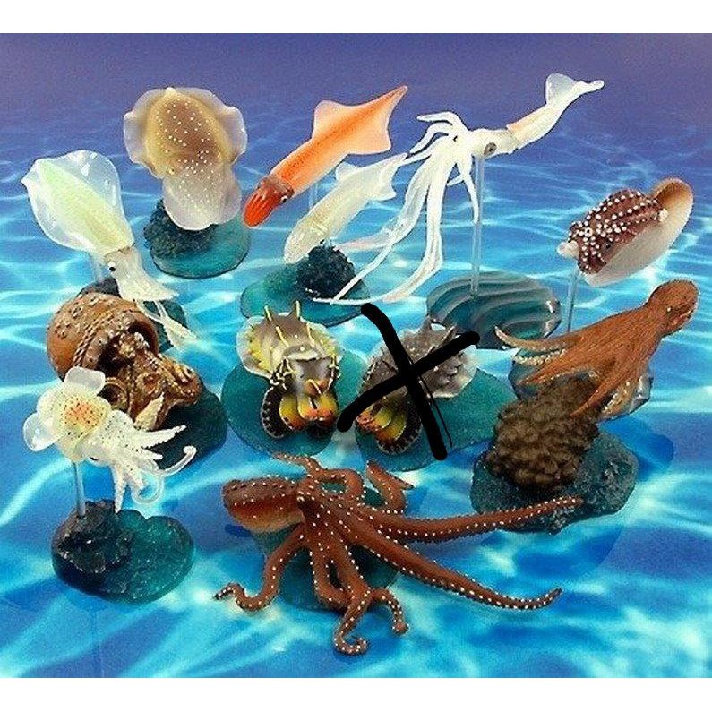 Takara 立體百科動物事典原色立體動物圖鑑原色章魚烏賊墨魚圖鑑大全套含隱藏版10隻售 蝦皮購物