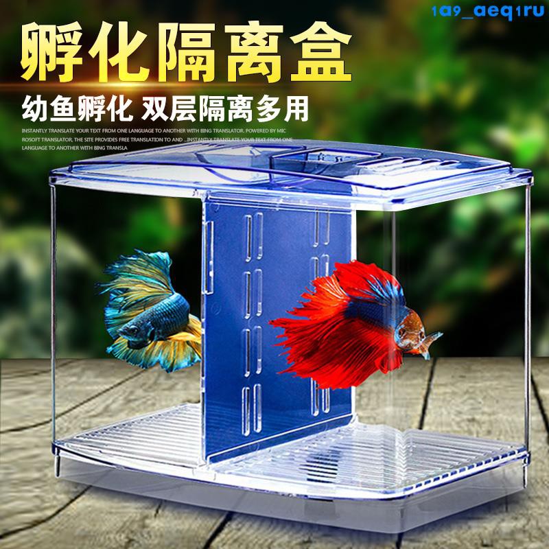 隔離盒孵化盒觀賞魚孔雀魚斗魚缸外獨立飼養多功能繁殖亞克力懸浮 蝦皮購物