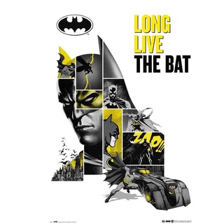 DC 蝙蝠俠80週年版限量紀念海報 BATMAN
