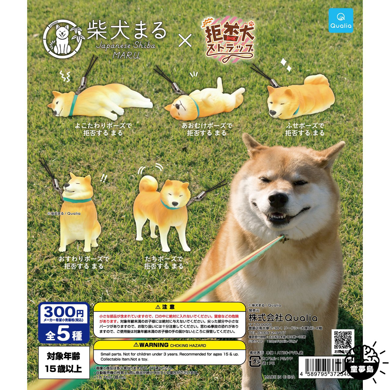 Qualia扭蛋maru柴犬x拒否犬拉不動的忠犬調皮犬不想走的狗狗現貨 蝦皮購物