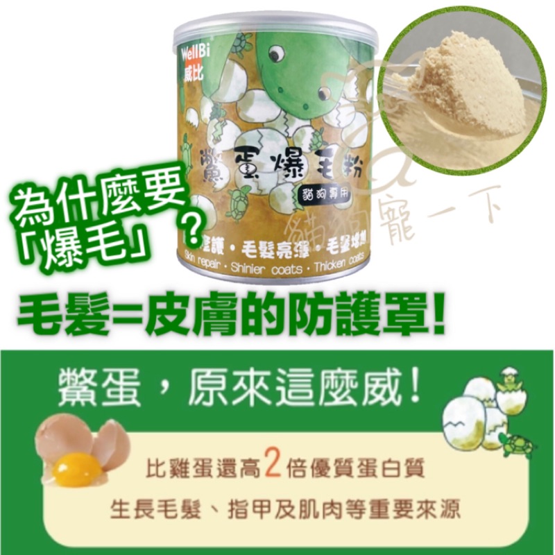 Wellbi威比鱉蛋爆毛粉1g 貓狗專用增加毛量 蝦皮購物