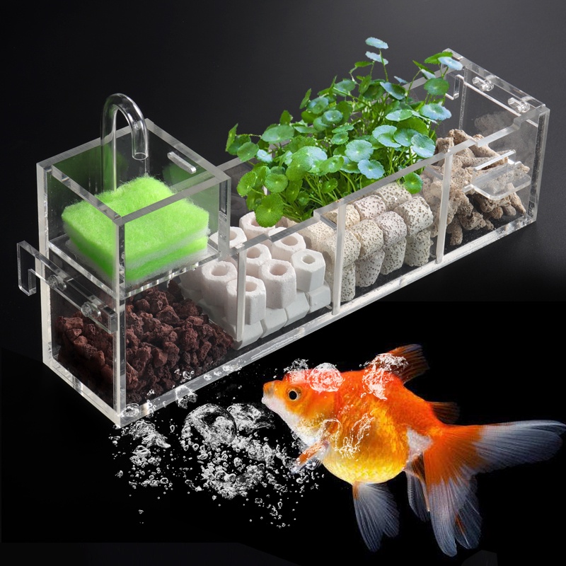 現貨速發頂濾生態魚缸過濾器水族箱三合一小型上置過濾盒槽壁掛式凈水系統 蝦皮購物