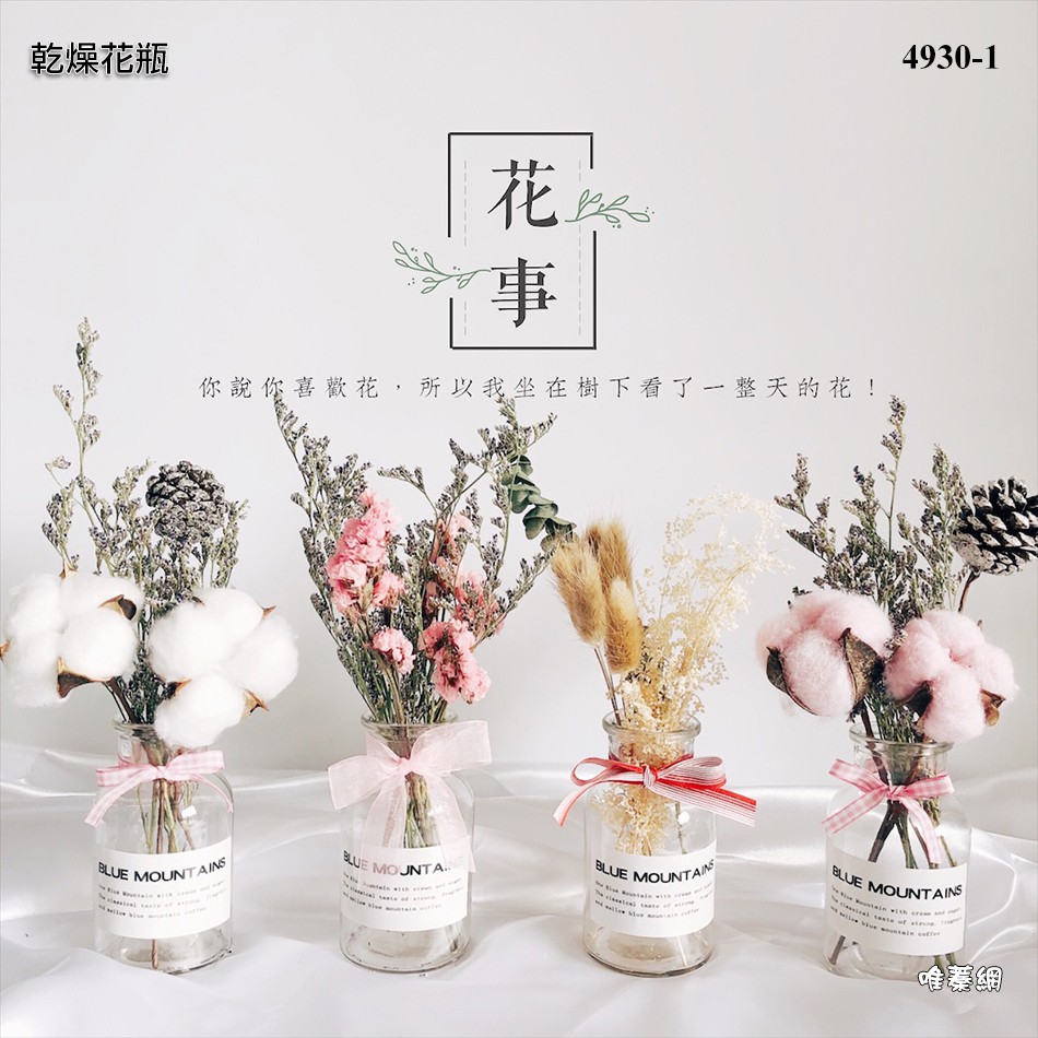 唯蓁網4930 1 乾燥花套裝組1 5號拍照道具少女背景牆家居飾品拍攝擺拍道具 蝦皮商城 Line購物