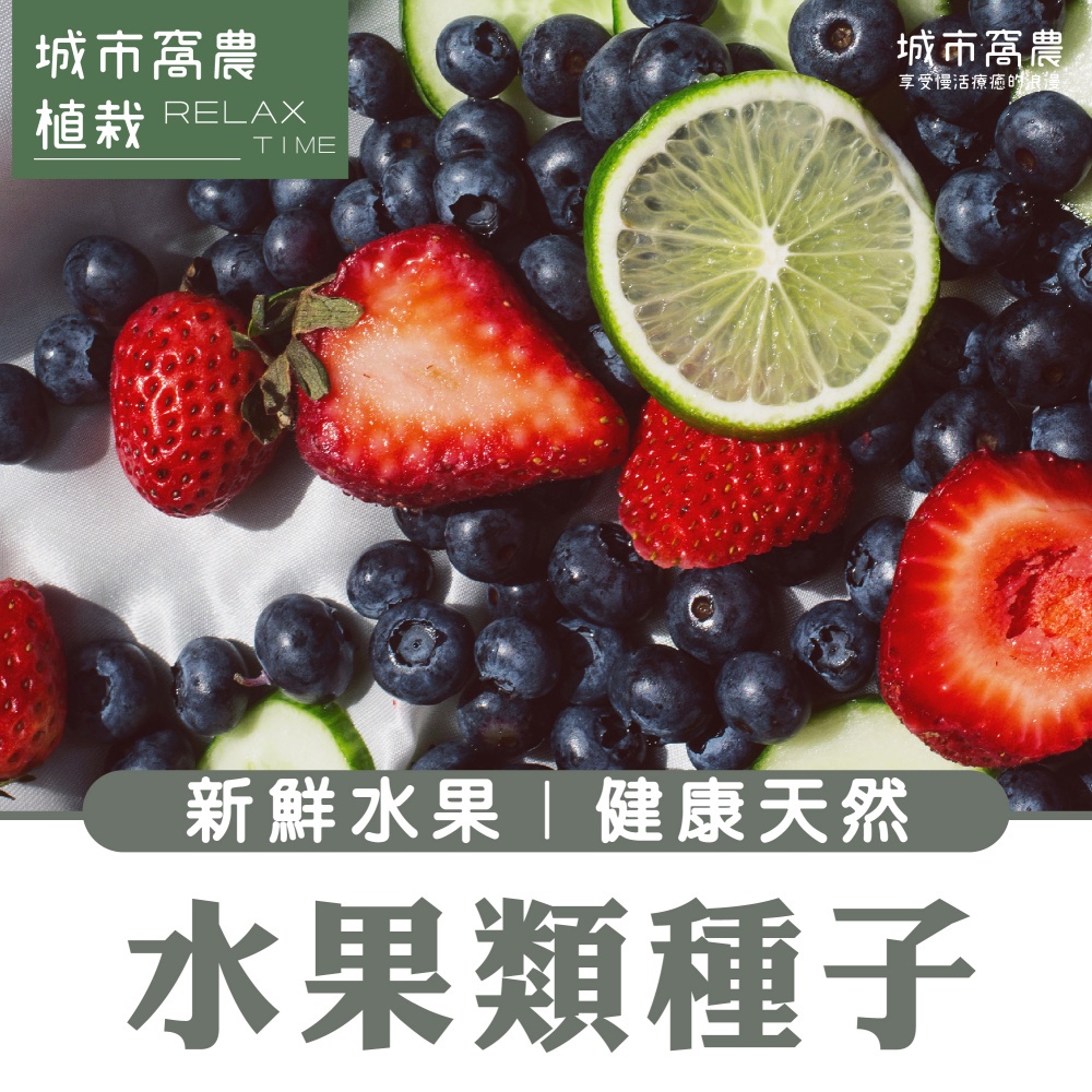 (台灣現貨免運) 草莓種子 農友 小包裝 水果種子 種子