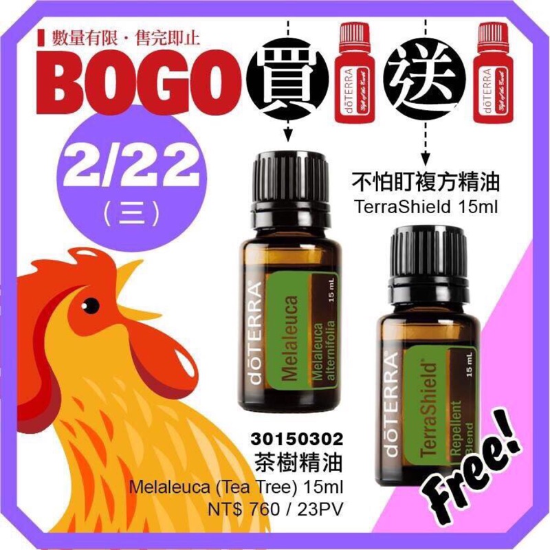 多特瑞BOGO-掌上明珠賣場