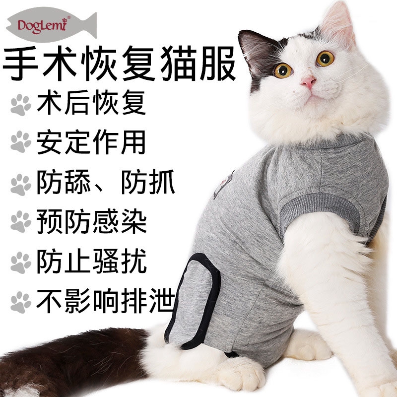 貓咪服 優惠推薦 21年3月 蝦皮購物台灣