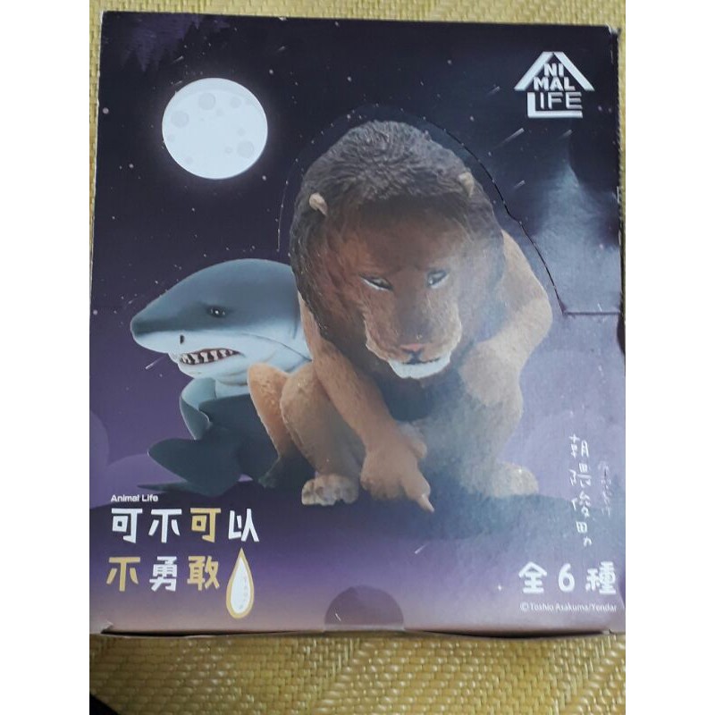 朝隈俊男 Animal Life 可不可以不勇敢