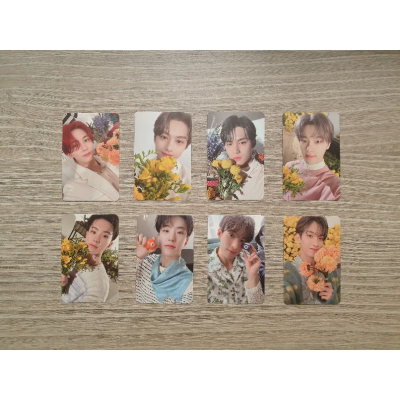 Seventeen 迷你八輯your Chioce 專輯配置小卡捧花拿球hoshi 權順榮李碩珉dk 蝦皮購物