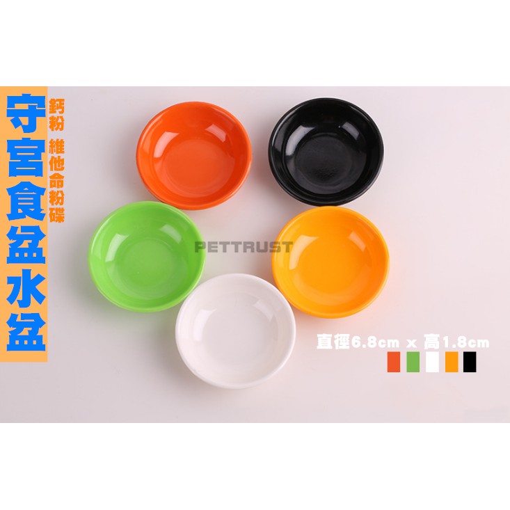 【台灣現貨秒發】守宮食盆 水盆 鈣粉碟 爬寵 寵物 食盆 环保树脂无毒 守宮 角蛙 蜥蜴 烏龜 兩棲 爬蟲 陸龜水盆