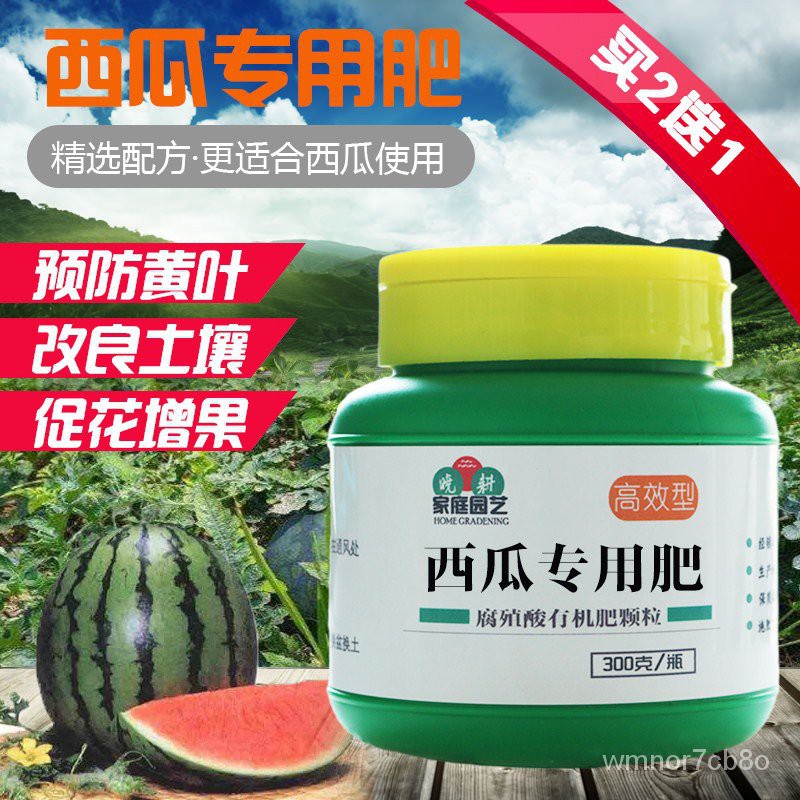 西瓜苗的價格推薦 21年9月 比價比個夠biggo