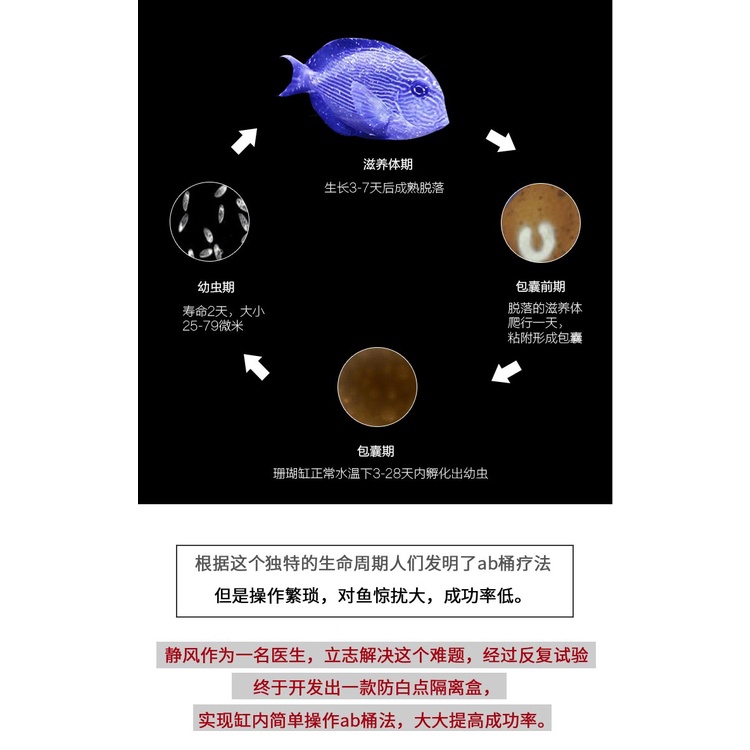 防白點 隔離盒魚缸隔離盒外掛隔離盒防白點隔離盒壓克力隔離盒魚缸隔離水族隔離盒壓克力魚缸隔離箱