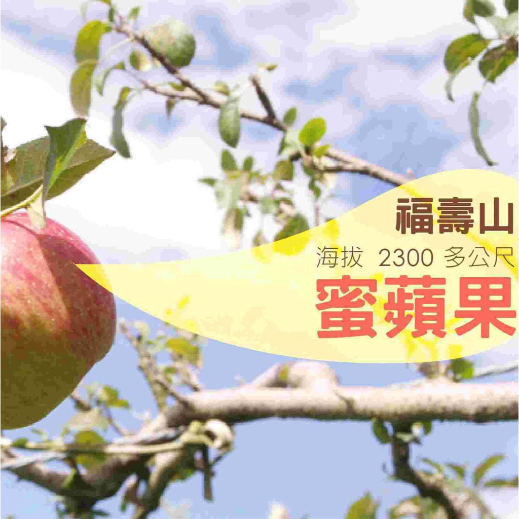 舒菓吧 : 福壽山結蜜蜜蘋果
